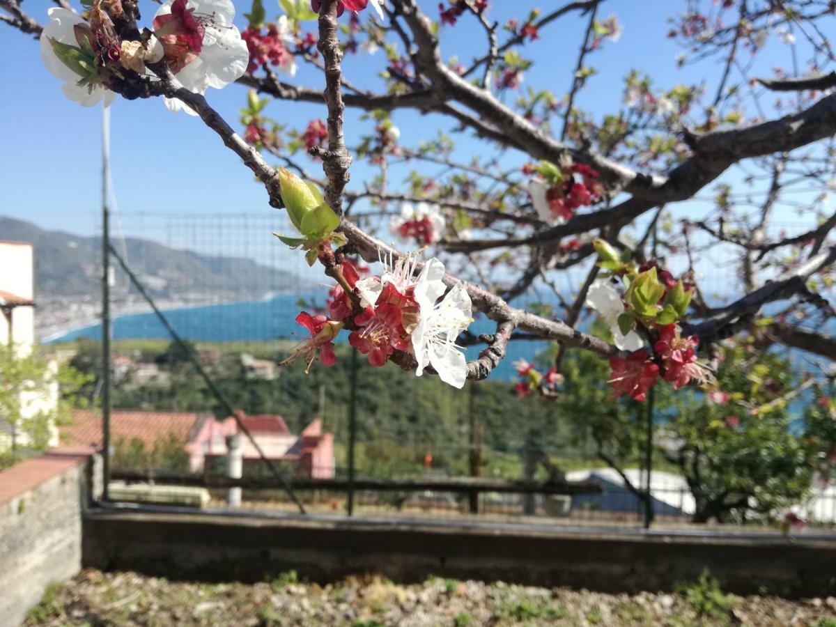 Villa Mariella Taormina Dış mekan fotoğraf